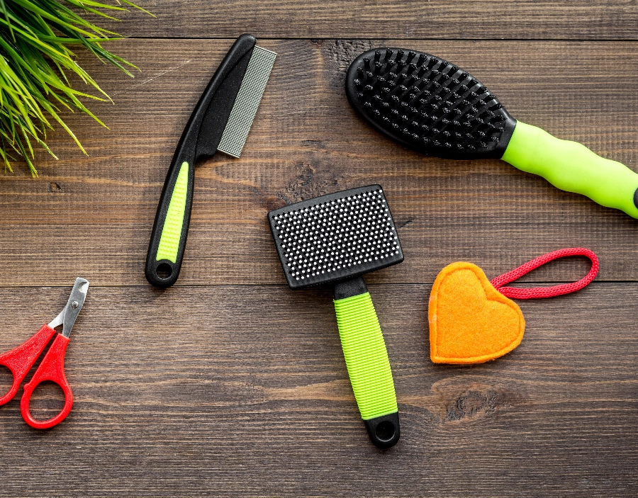 Image of tec nut single websites demo Pet Grooming Need a new company website?: Easy Website, Trade Website, example for website, small business website designs, Bootstrap Templates, small company website, Wix Website, free website builder, web builder sites, website design, Laravel